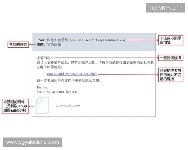 PG官网网址入口官方最新地址分享，帮助玩家避免钓鱼网站确保账号安全